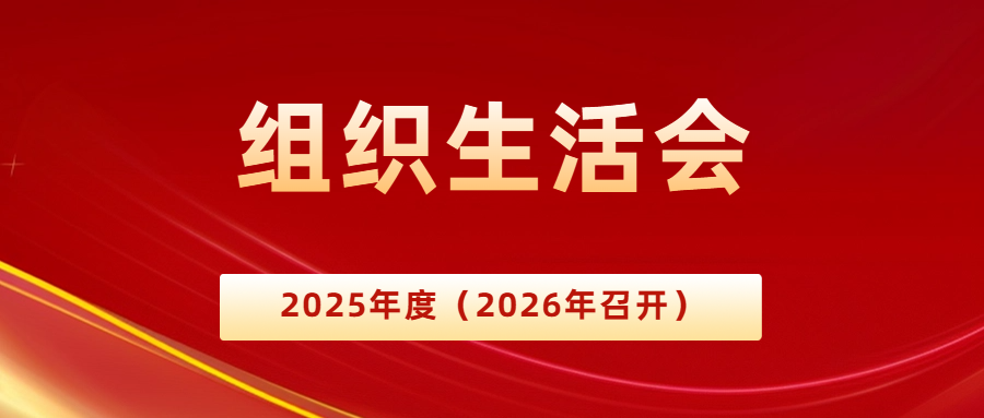 2025年度组织生活会谈心谈话记录